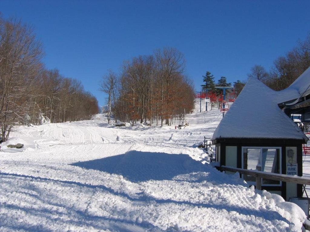 Saw Creek Cabin - Regent Hilltop Villa Bushkill Exterior photo