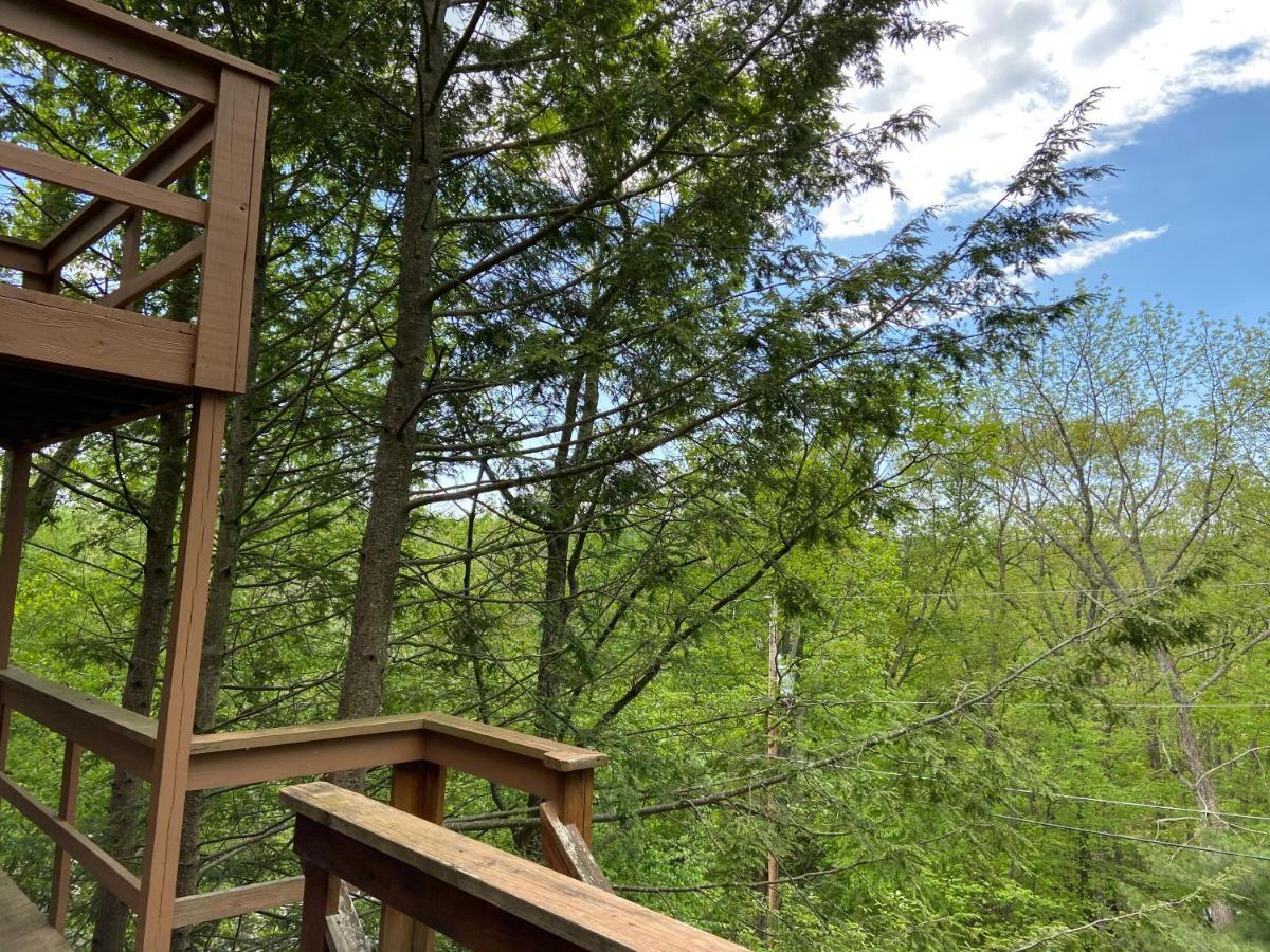 Saw Creek Cabin - Regent Hilltop Villa Bushkill Exterior photo